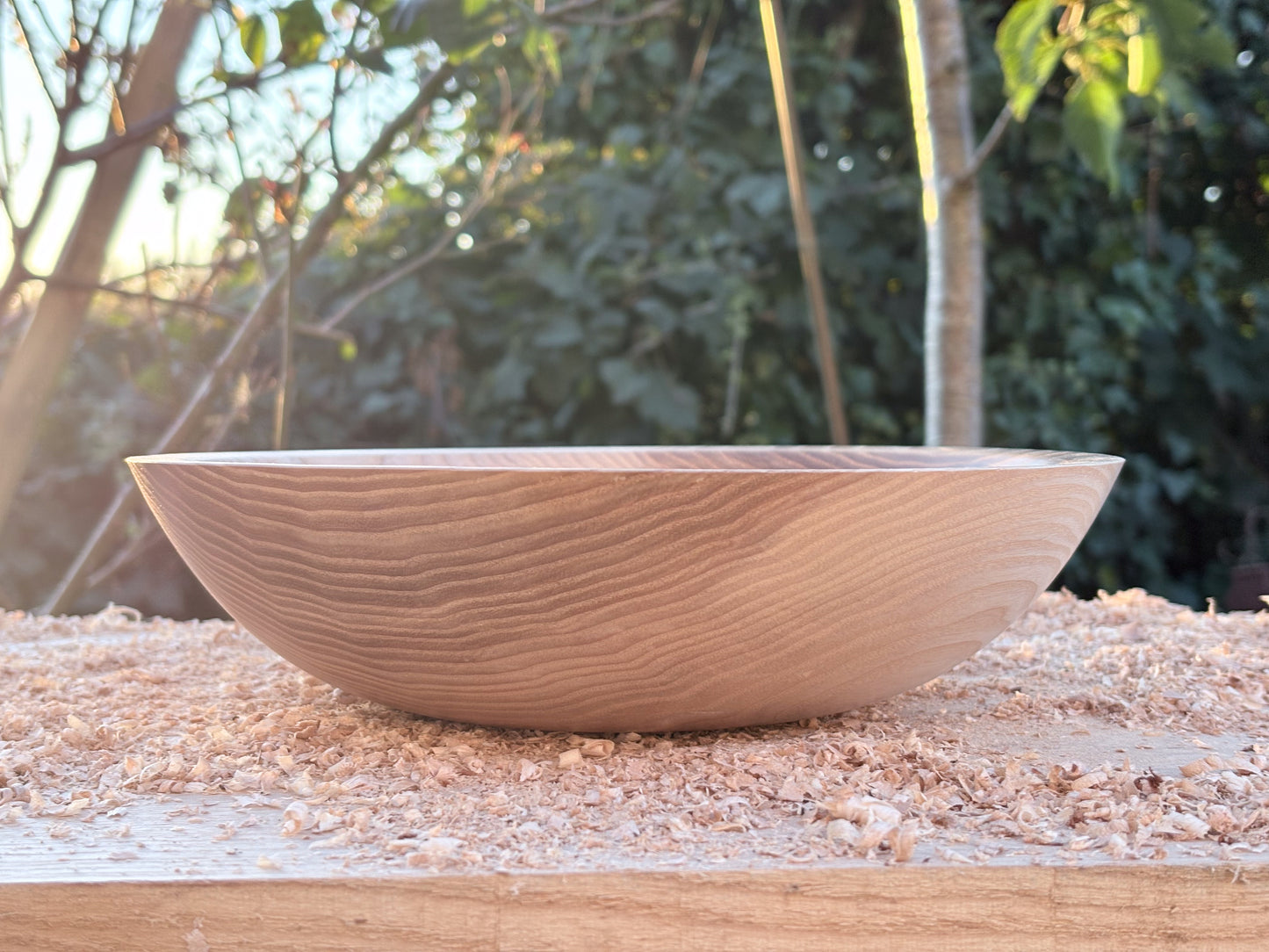 Ash Bowl (341mm x 62mm)