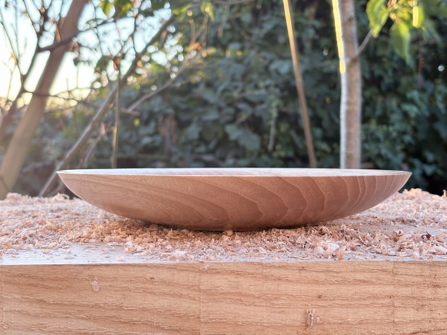 Ash Bowl (235mm x 36mm)