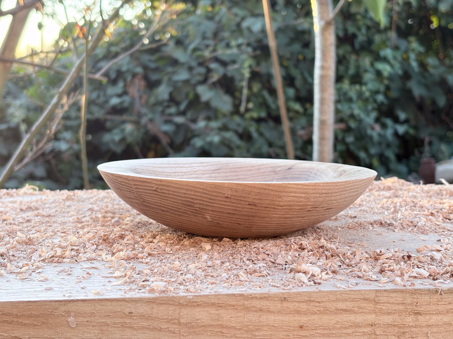 Ash Bowl (186mm x 41mm)