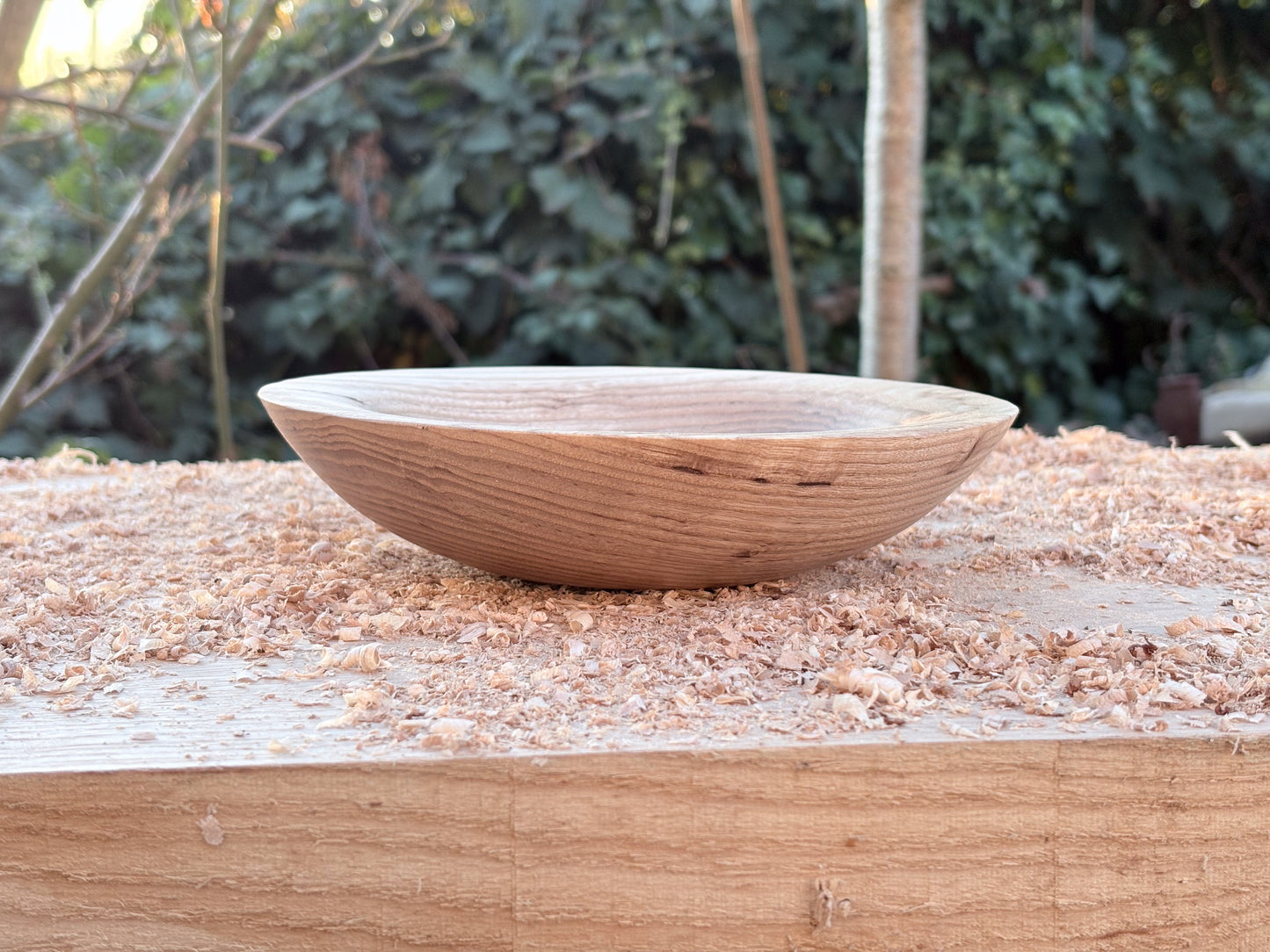 Ash Bowl (184mm x 42mm)