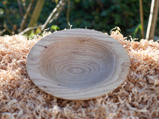 Ash Bowl (184mm x 42mm)