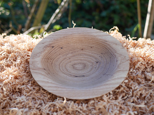 Ash Bowl (186mm x 41mm)