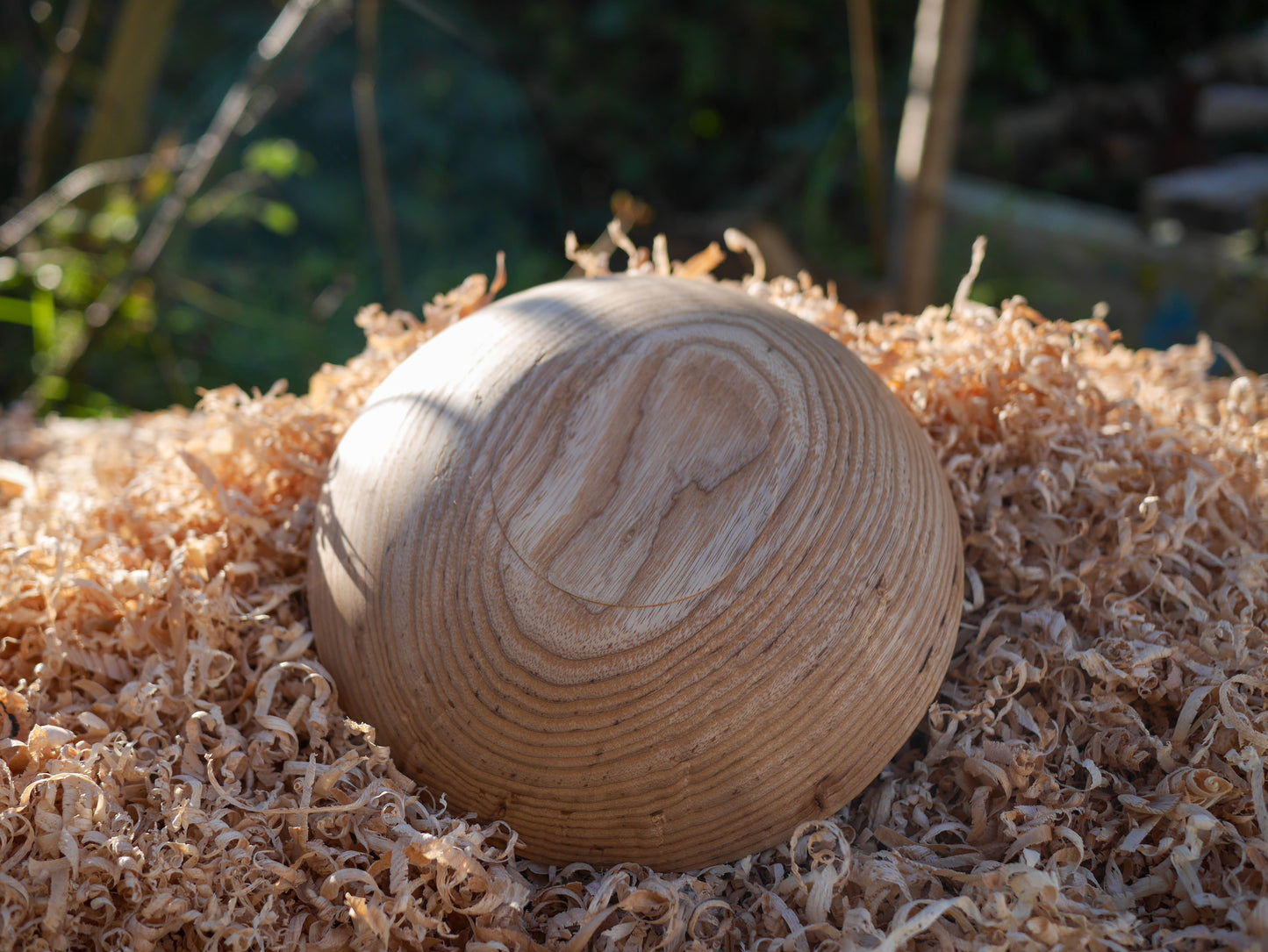 Ash Bowl (184mm x 42mm)