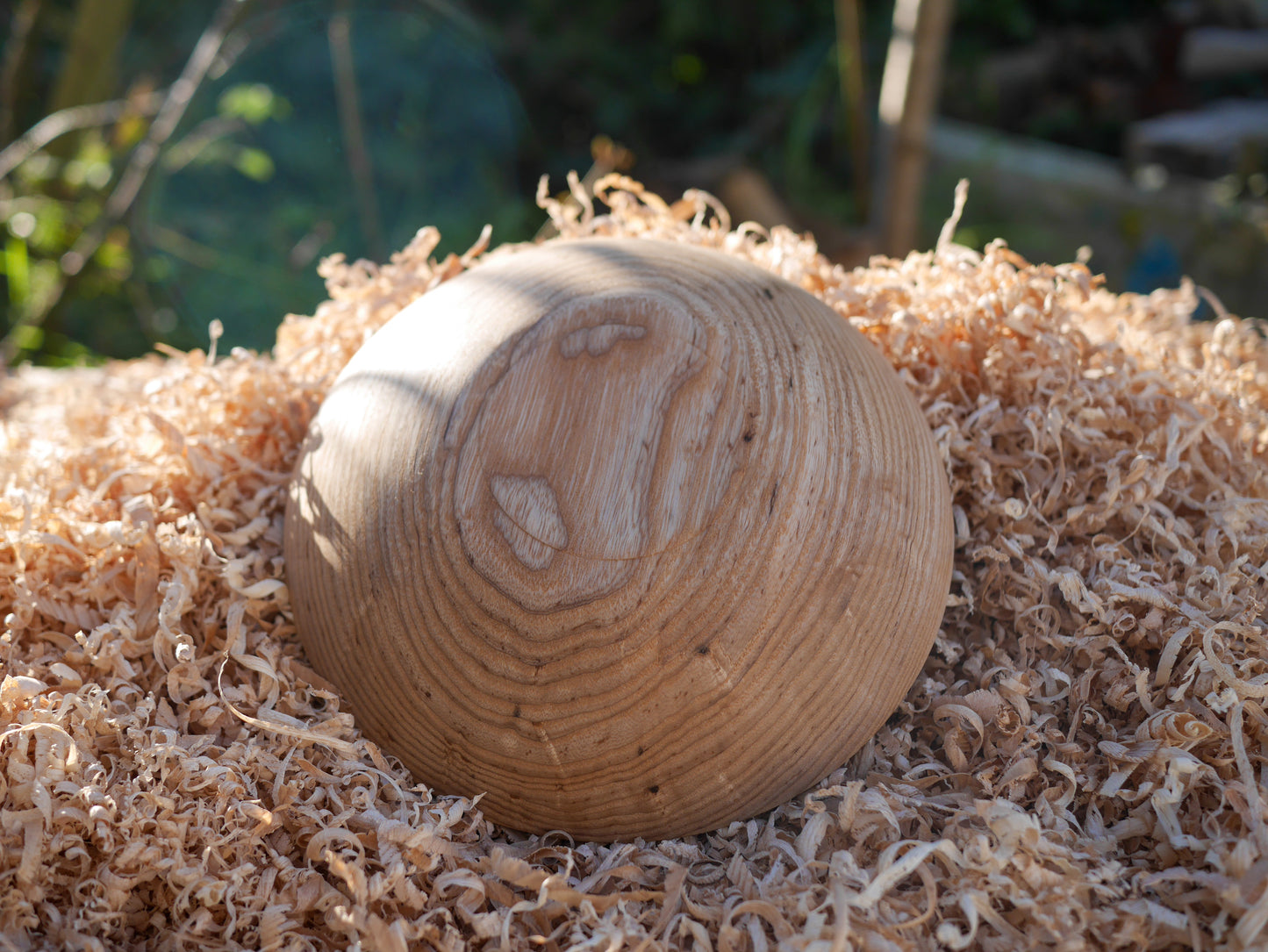 Ash Bowl (186mm x 41mm)
